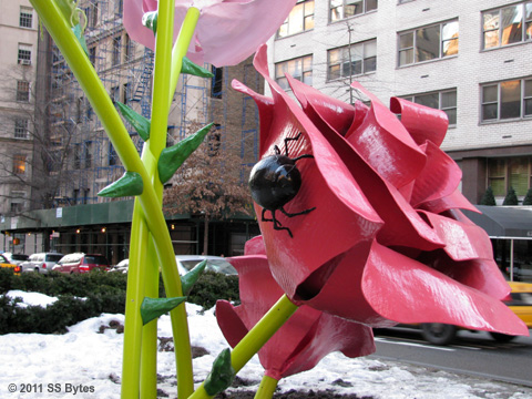 rose-sculpture-beetle-close rose-sculpture-beetle-close