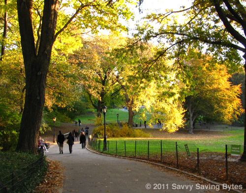 autumn-centralpark-path