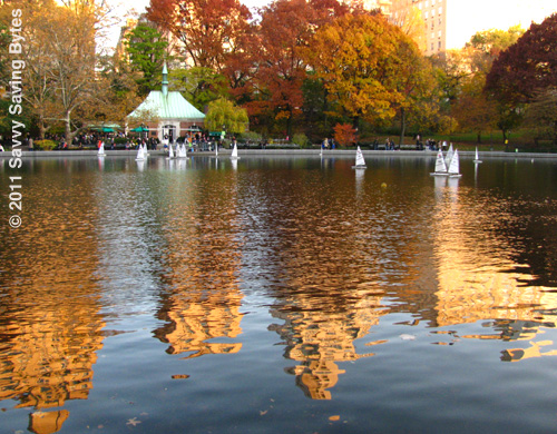 sailboats-lake-fall-cpark