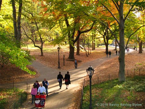 autumn trees park strollers